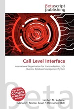 Call Level Interface