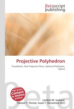 Projective Polyhedron