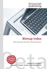 Bitmap Index