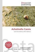 Achatinella Caesia
