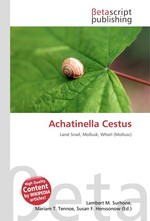 Achatinella Cestus