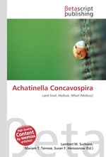 Achatinella Concavospira