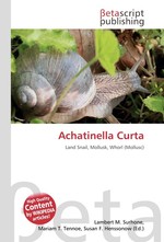 Achatinella Curta