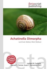 Achatinella Dimorpha