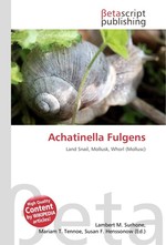 Achatinella Fulgens