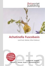 Achatinella Fuscobasis