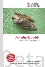 Achatinella Juddii