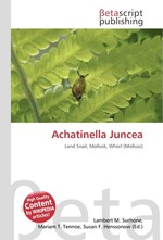 Achatinella Juncea