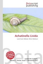 Achatinella Livida