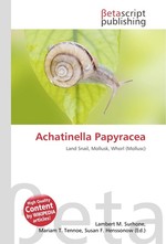 Achatinella Papyracea