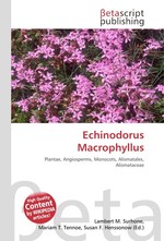 Echinodorus Macrophyllus