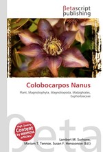 Colobocarpos Nanus