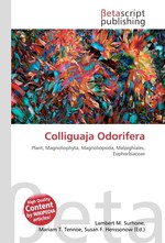 Colliguaja Odorifera