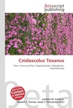 Cnidoscolus Texanus