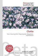 Clutia