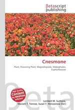 Cnesmone