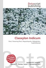 Claoxylon Indicum