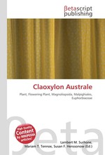 Claoxylon Australe