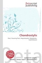 Chondrostylis