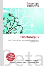 Chaetocarpus