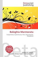 Baloghia Marmorata