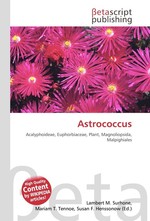 Astrococcus