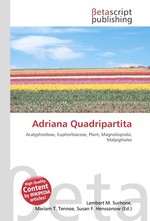 Adriana Quadripartita