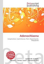 Adenochlaena