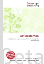 Actinostemon