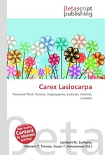 Carex Lasiocarpa