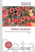 Bolbitis Heudelotii