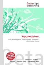 Aponogeton