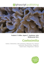 Coelosimilia