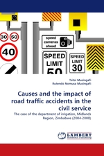 Causes and the impact of road traffic accidents in the civil service. The case of the department of irrigation, Midlands Region, Zimbabwe (2004-2008)