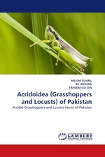 Acridoidea (Grasshoppers and Locusts) of Pakistan. Acridid Grasshoppers and Locusts fauna of Pakistan