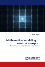 Mathematical modeling of neutron transport. Theoretical and computational point of view