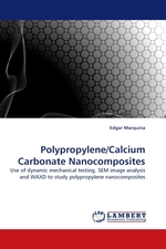 Polypropylene/Calcium Carbonate Nanocomposites. Use of dynamic mechanical testing, SEM image analysis and WAXD to study polypropylene nanocomposites