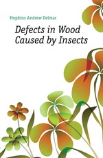 Defects in Wood Caused by Insects