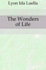 The Wonders of Life