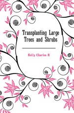 Transplanting Large Trees and Shrubs