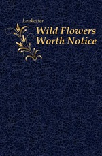 Wild Flowers Worth Notice