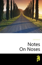 Notes On Noses