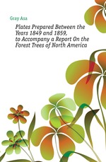 Plates Prepared Between the Years 1849 and 1859, to Accompany a Report On the Forest Trees of North America