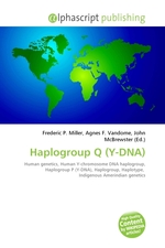 Haplogroup Q (Y-DNA)