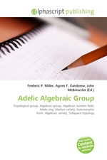 Adelic Algebraic Group