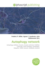 Autophagy network