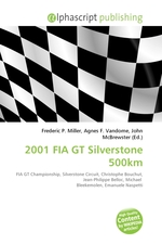 2001 FIA GT Silverstone 500km