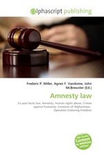 Amnesty law