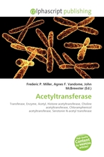 Acetyltransferase