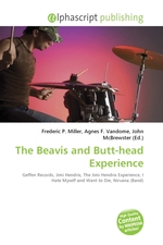 The Beavis and Butt-head Experience